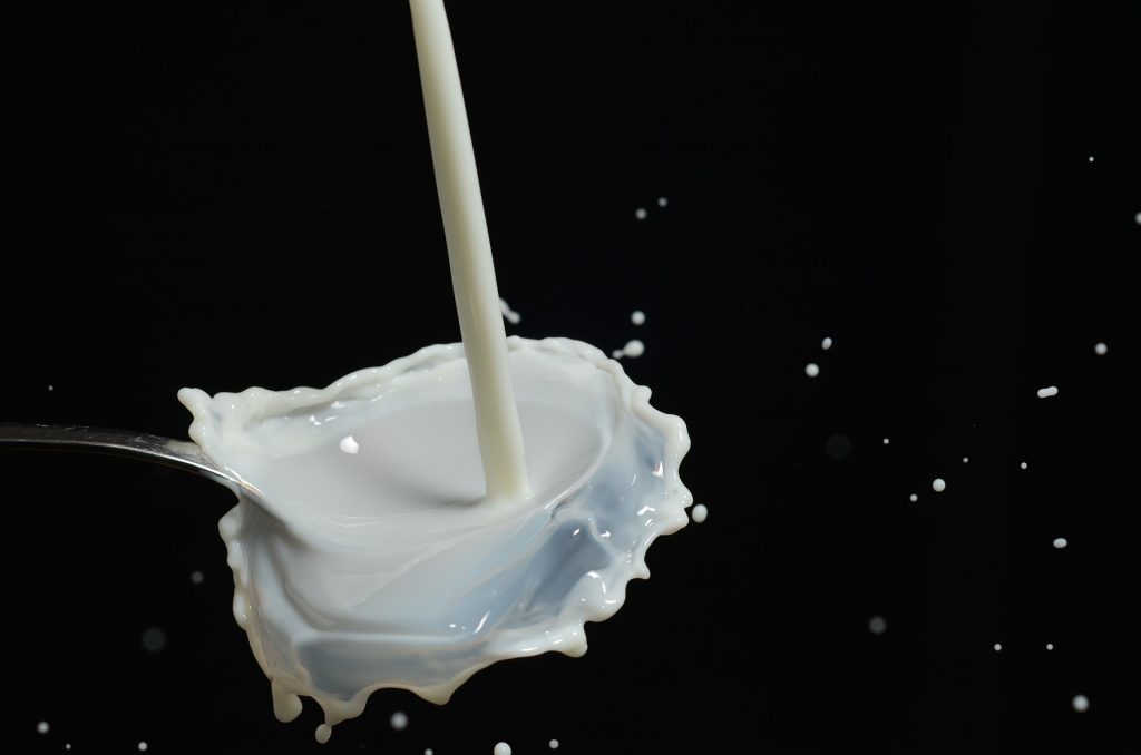 Tag der Milch