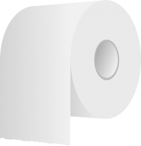 Tag des Toilettenpapiers