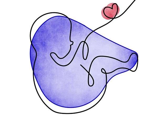 Wann Einnistung Rechner